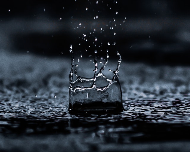 Gota