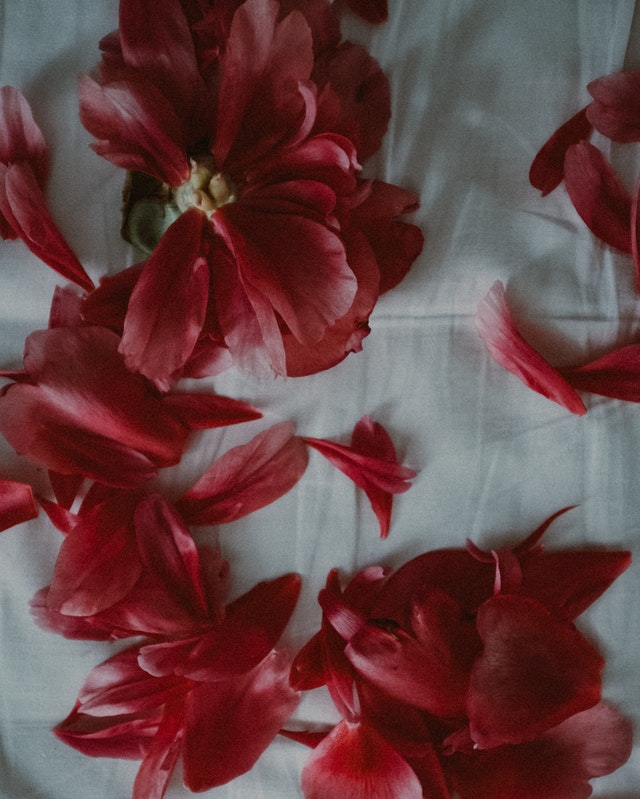 Flores